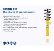 Bilstein 46-194381 - B12 Series Pro-Kit Suspension Lowering Kit
