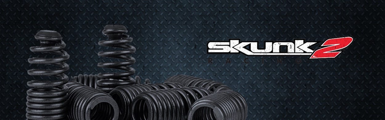 Skunk2 Brand Banner - US